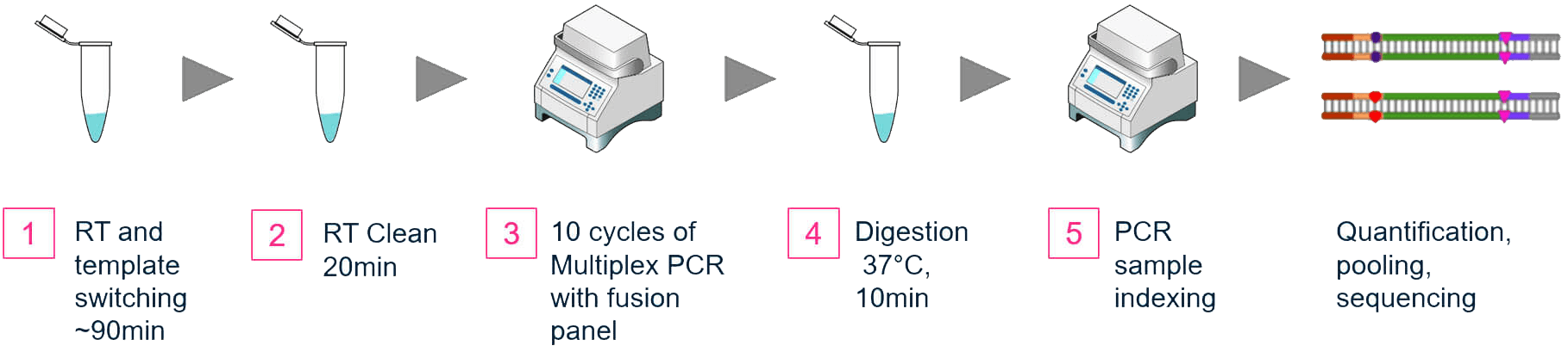 OmniFusion Single Primer Gene Fusion Detection Workflow OmniFusion Single Primer Gene Fusion Detection Workflow