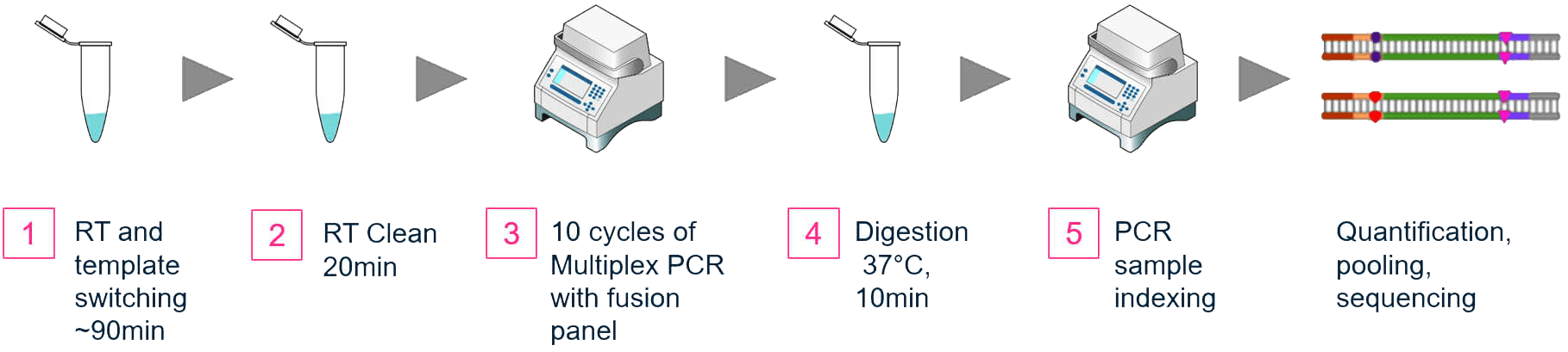 OmniFusion Single Primer Gene Fusion Detection Workflow