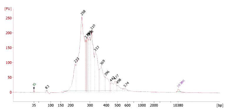 RNA Fusion Clean Library Trace