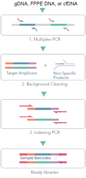 cleanplex_DNA_amplicon_sequencing_workflow_300x_compressed cleanplex DNA amplicon sequencing workflow