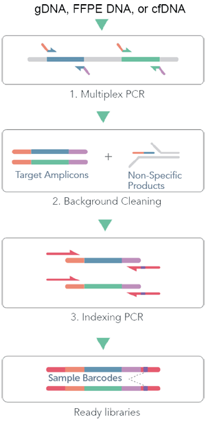 cleanplex DNA amplicon sequencing workflow