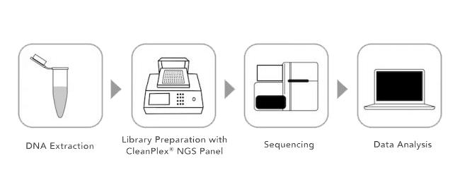 targeted-ngs-workflow-compressed targeted amplicon sequencing workflow