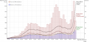 Number of hospitalized patients, cases, deaths, in Rio Grande do Sul, April 12,2020-present