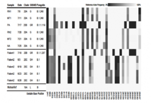 Genetic variant profiles of the sequenced SARS-CoV-2 relative to the Wuhan-Hu-1 reference genome.