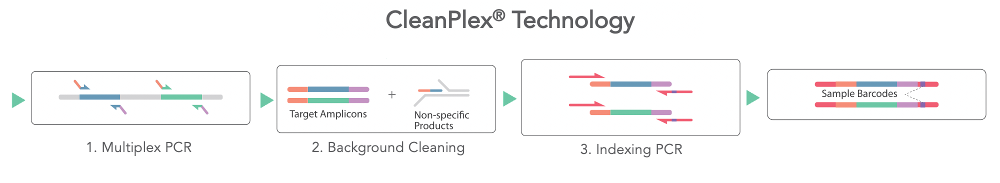 CleanPlex Technology: 1. Multiplex PCR, 2. Background Cleaning, 3. Indexing PCR