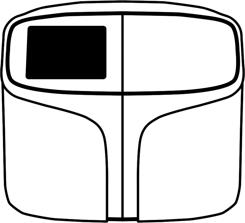 Ion Torrent sequencer