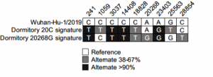 Sequences isolated from the Arizona dormitory wastewater clade and the sequences of the referenceWuhan-Hu-1/2019 reference strain.