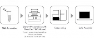 A typical targeted sequencing workflow