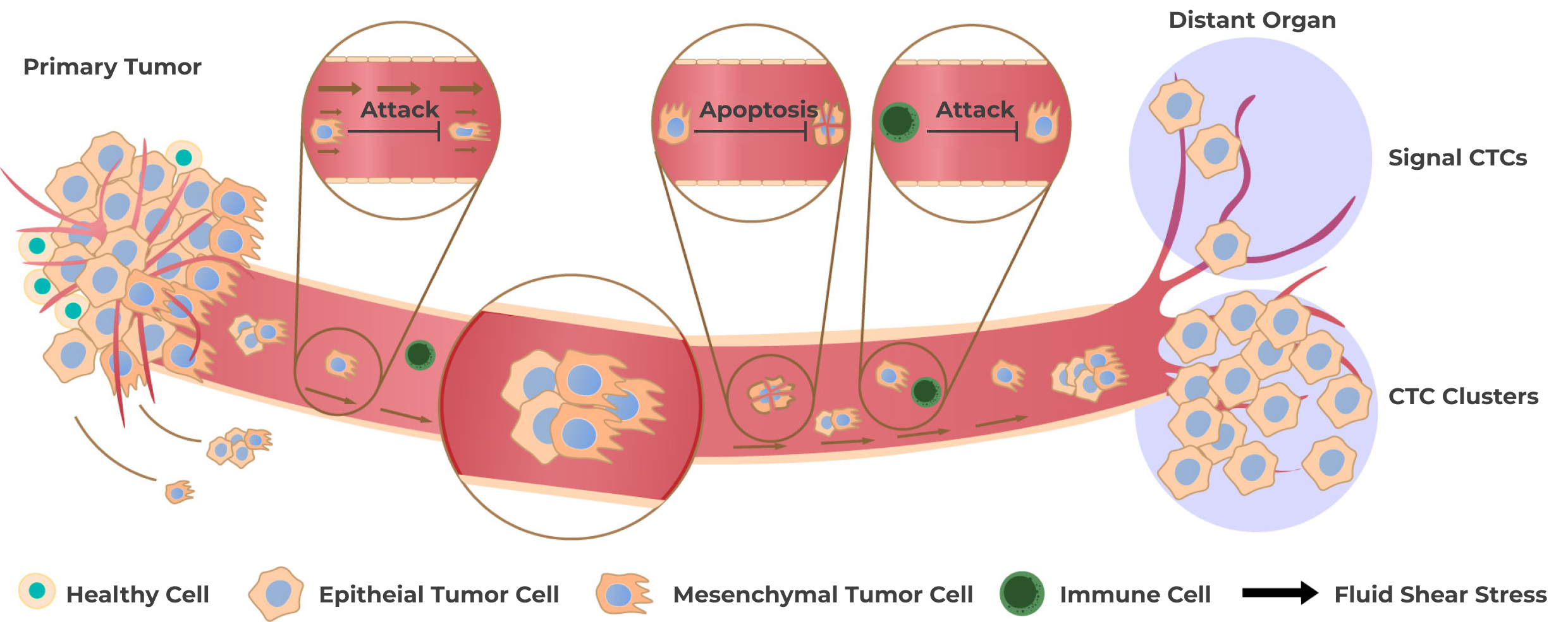 Challenges of Liquid Biopsy