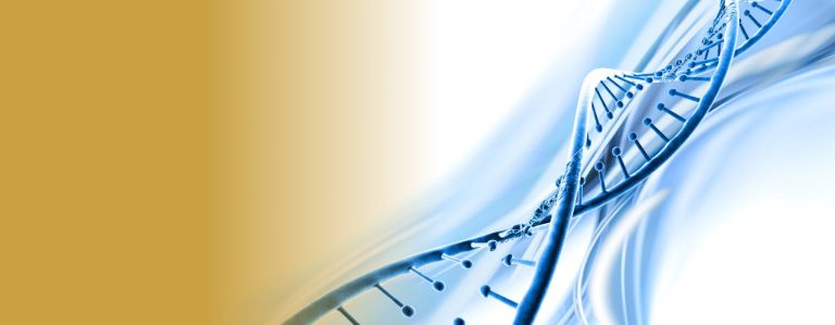 Introduction to Amplicon Sequencing