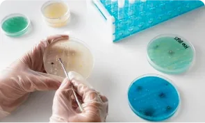 Inherited disease