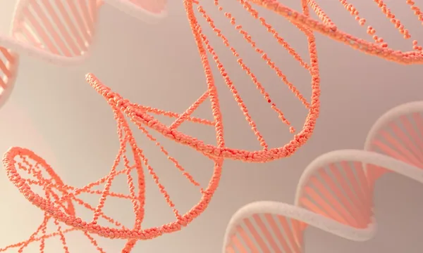 CleanPlex amplicon sequencing for DNA and RNA-Seq