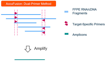AccuFusion dual-primer fusion detection method